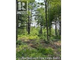 Lot Wegesegum Road, Chipman, NB O0O0O0 Photo 14