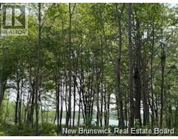 Lot Wegesegum Road, Chipman, NB O0O0O0 Photo 15