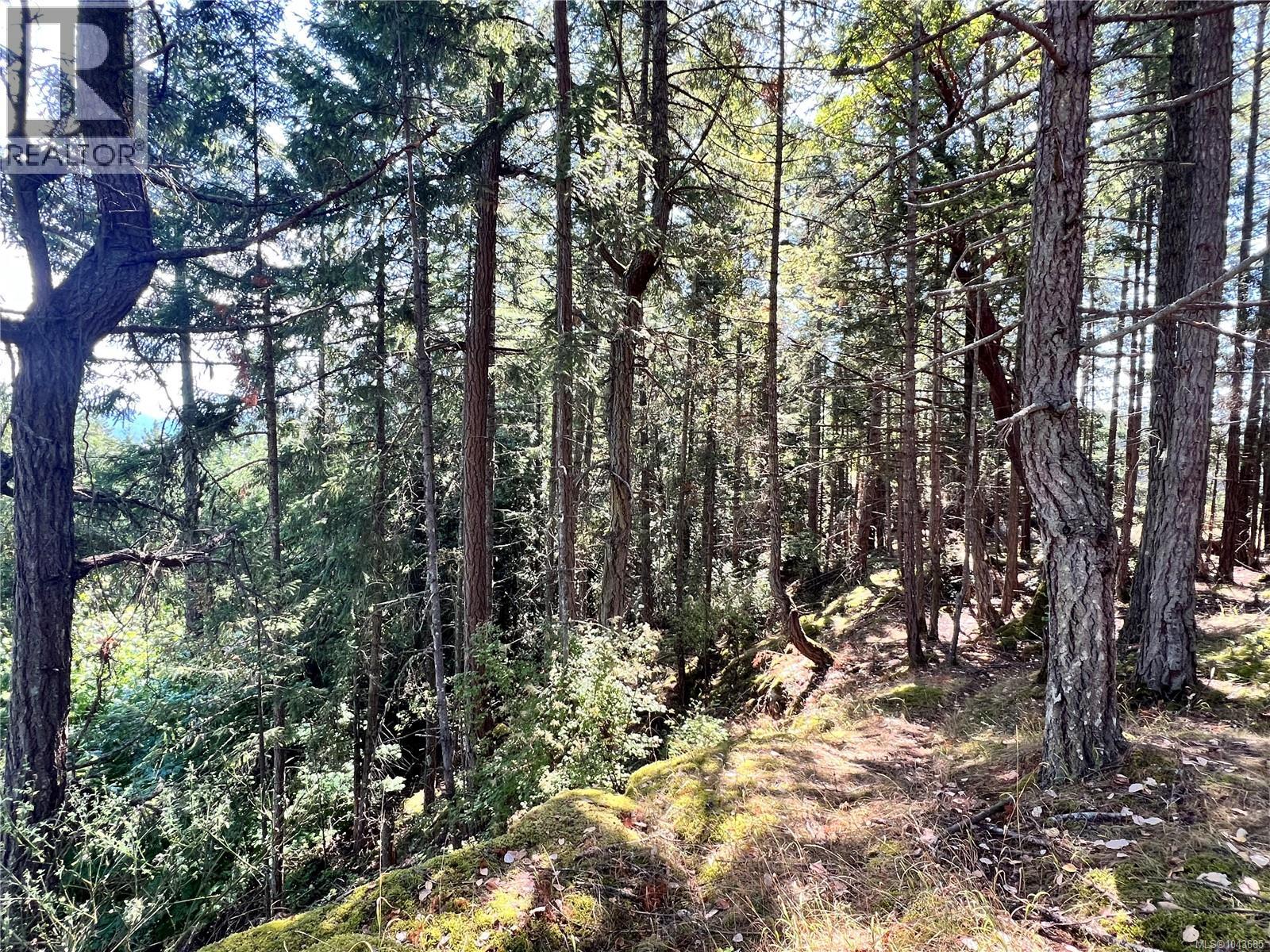  131 Rainforest Road, Salt Spring