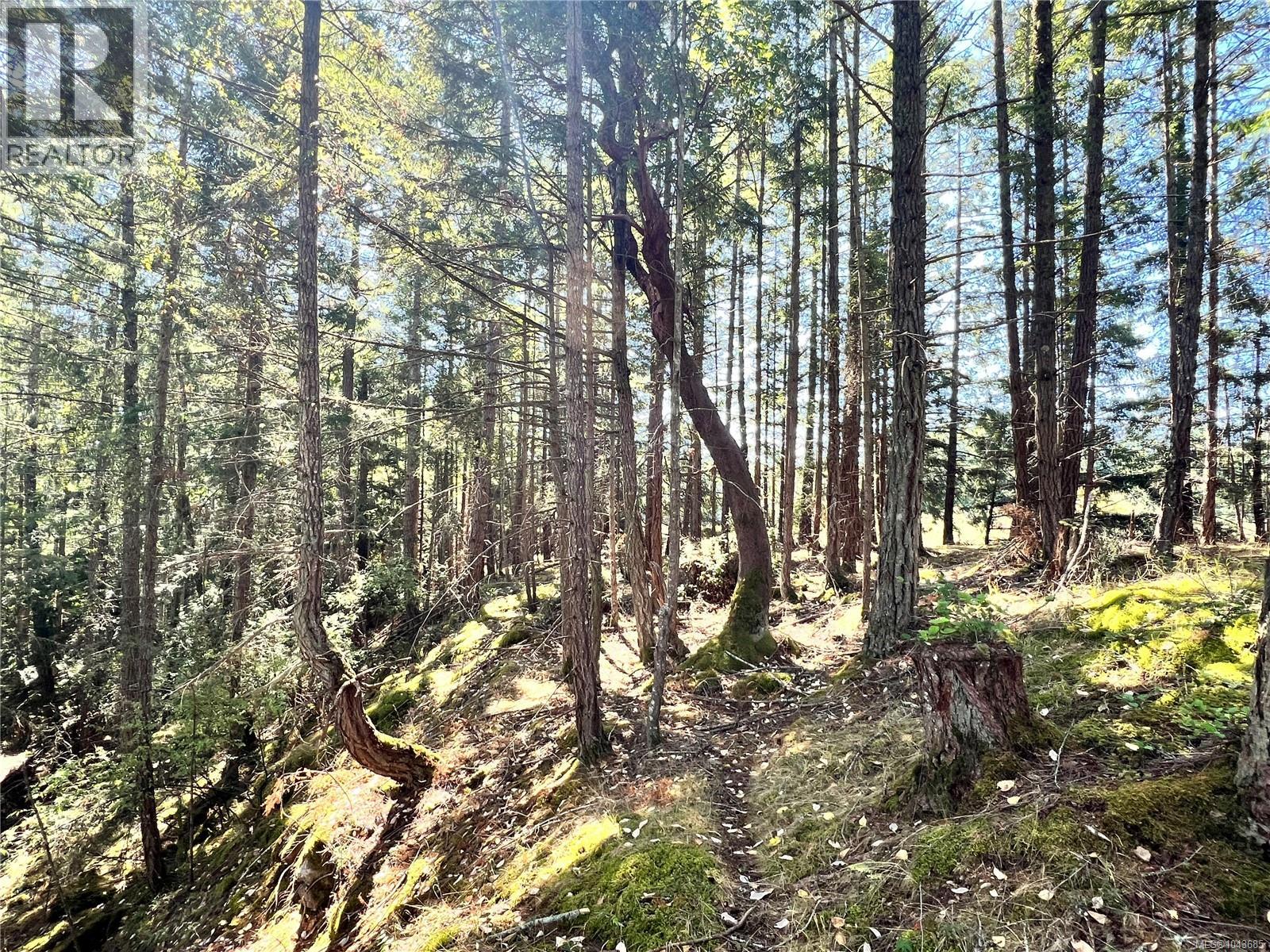  131 Rainforest Road, Salt Spring