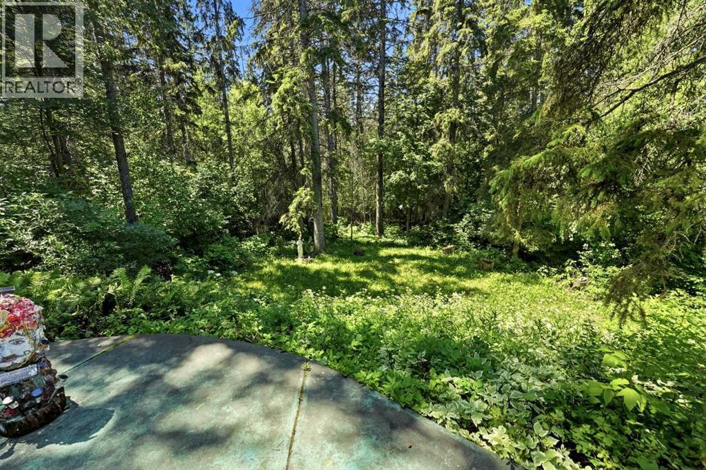 3514 Spruce Drive - 27