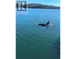 204 1820 Maple Ave S, Sooke, BC V9Z0N9 Photo 47