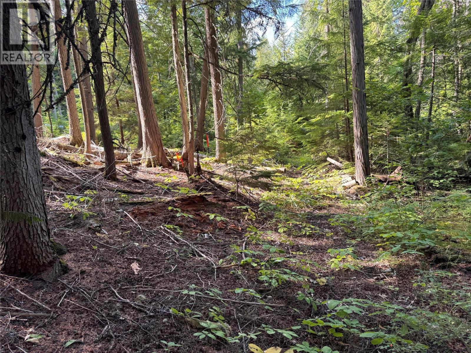 Lot 1 Chase Road, Christina Lake