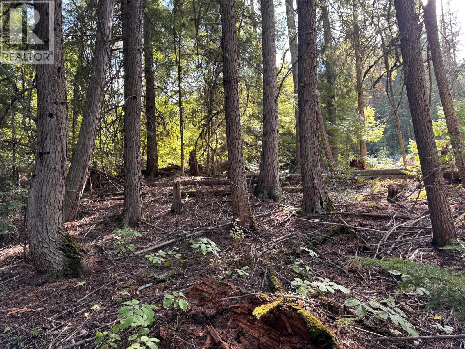 Lot 1 Chase Road, Christina Lake
