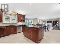 Sunroom - 20 Creston Road, Toronto, ON M6A1J1 Photo 22