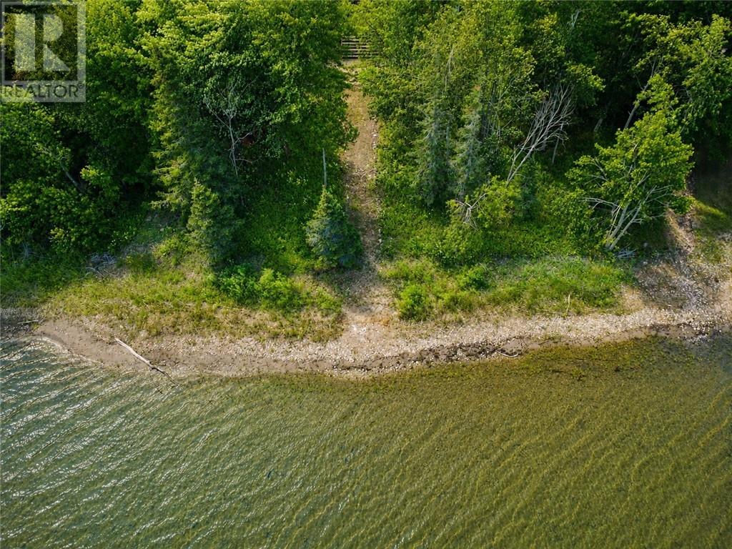 278 Pepper Point Rd - 13