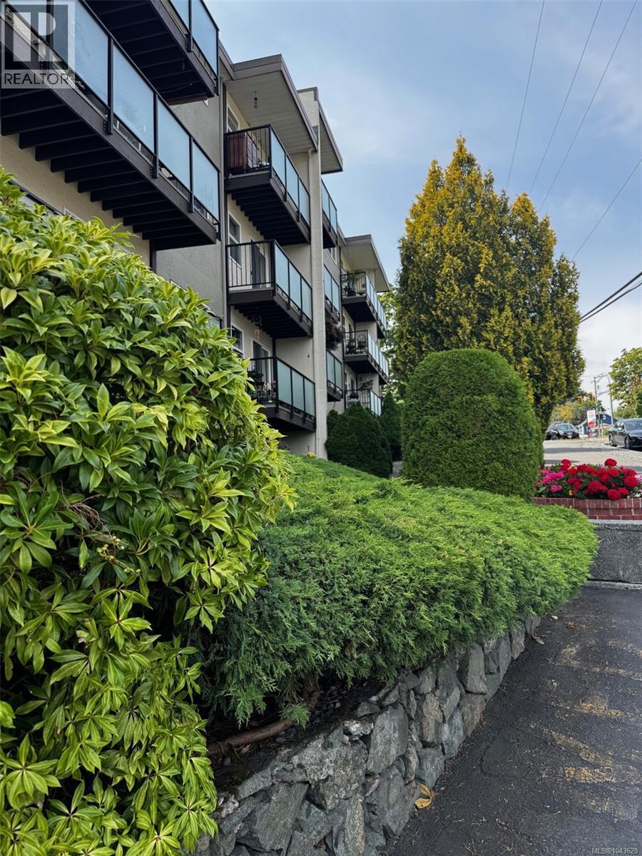 275 Cypress St - 10