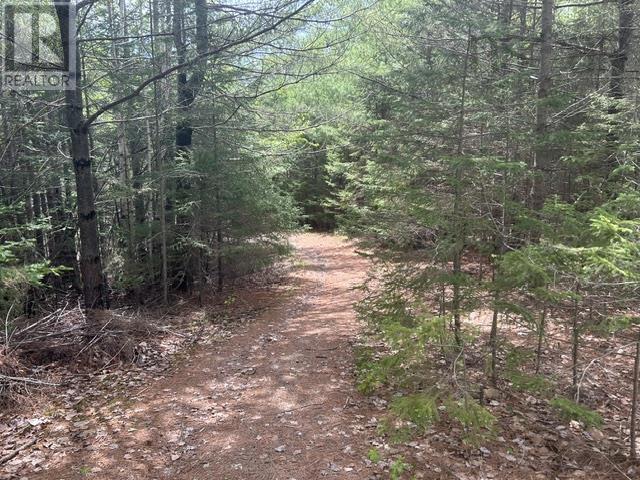 Lot 38A 156 Lakewood Drive - 42