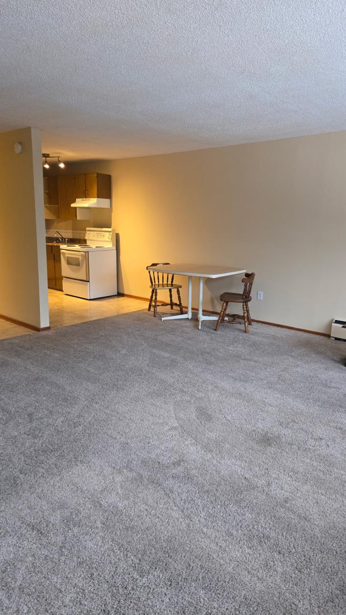 10310 100 Avenue - Photo 14