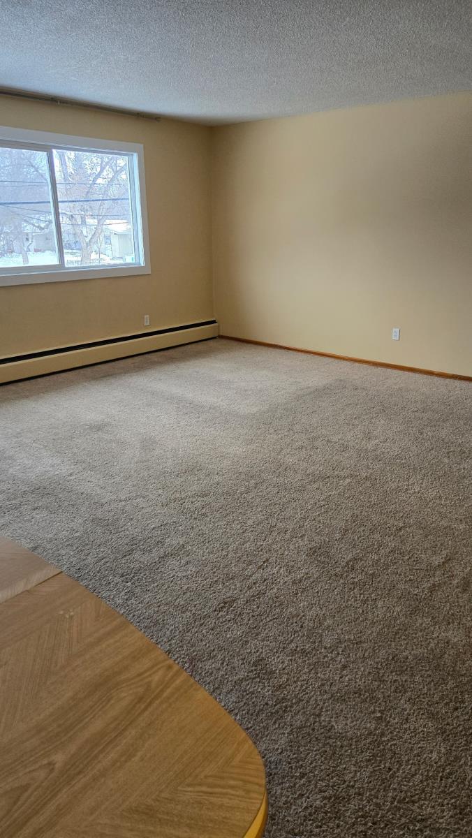 10310 100 Avenue - Photo 12