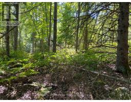 13601 Highway 64, West Nipissing, ON P0H1M0 Photo 12