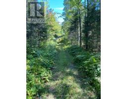 13601 Highway 64, West Nipissing, ON P0H1M0 Photo 15