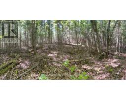 13601 Highway 64, West Nipissing, ON P0H1M0 Photo 20