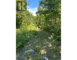 13601 Highway 64, West Nipissing, ON P0H1M0 Photo 16