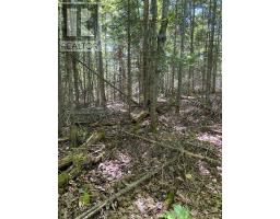 13601 Highway 64, West Nipissing, ON P0H1M0 Photo 13