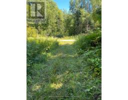 13601 Highway 64, West Nipissing, ON P0H1M0 Photo 26