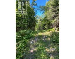 13601 Highway 64, West Nipissing, ON P0H1M0 Photo 22