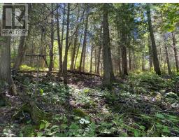 13601 Highway 64, West Nipissing, ON P0H1M0 Photo 14