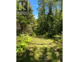 13601 Highway 64, West Nipissing, ON P0H1M0 Photo 21