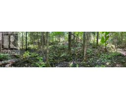 13601 Highway 64, West Nipissing, ON P0H1M0 Photo 34