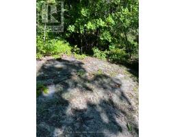 13601 Highway 64, West Nipissing, ON P0H1M0 Photo 38