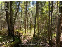 13601 Highway 64, West Nipissing, ON P0H1M0 Photo 35