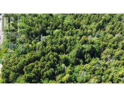 Lot Old Mountain Road, Rossway, NS B0V1A0 Photo 8