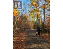 42 Clear Lake Court, Marmora And Lake, ON K0L1W0 Photo 21