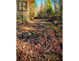 42 Clear Lake Court, Marmora And Lake, ON K0L1W0 Photo 16