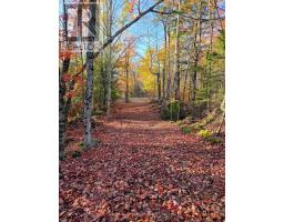 42 Clear Lake Court, Marmora And Lake, ON K0L1W0 Photo 15