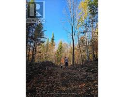 42 Clear Lake Court, Marmora And Lake, ON K0L1W0 Photo 20