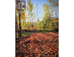 42 Clear Lake Court, Marmora And Lake, ON K0L1W0 Photo 17