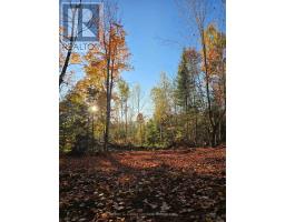 42 Clear Lake Court, Marmora And Lake, ON K0L1W0 Photo 18