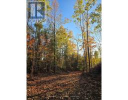 42 Clear Lake Court, Marmora And Lake, ON K0L1W0 Photo 19