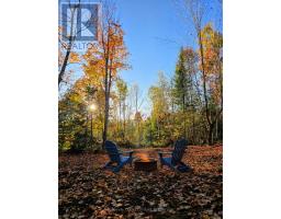 42 Clear Lake Court, Marmora And Lake, ON K0L1W0 Photo 28