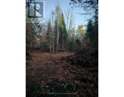 42 Clear Lake Court, Marmora And Lake, ON K0L1W0 Photo 26