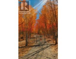 42 Clear Lake Court, Marmora And Lake, ON K0L1W0 Photo 29