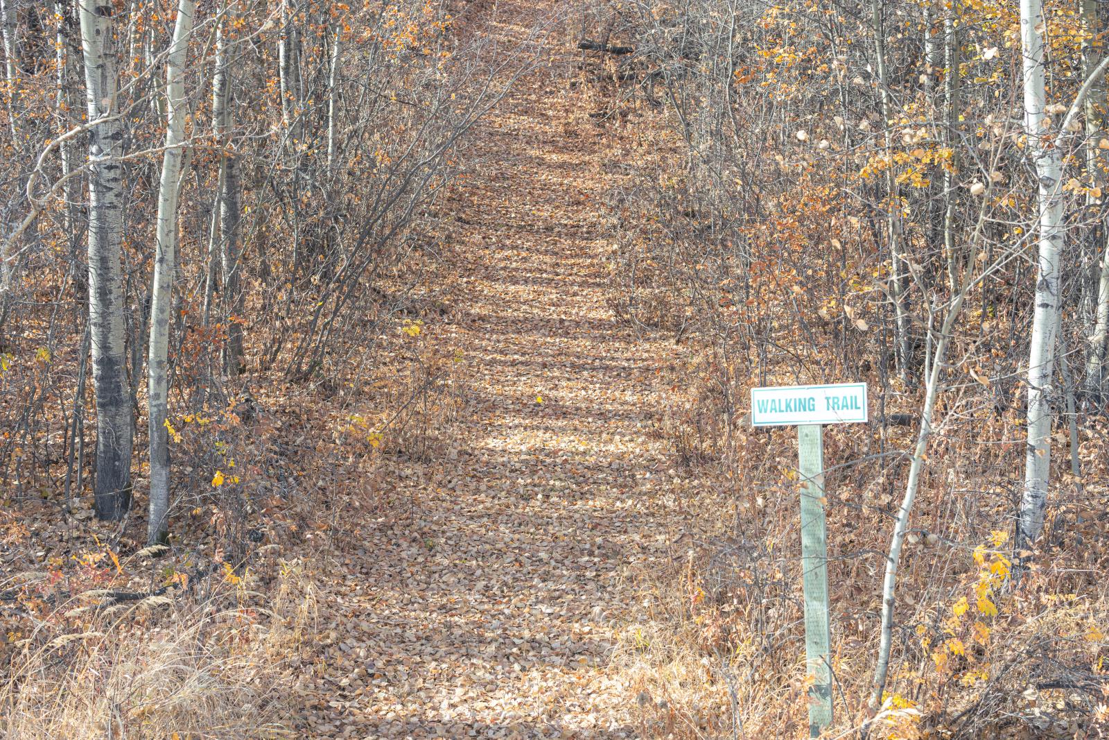 Rural Lac Ste. Anne County, AB, T8R 0H2 - Photo 45