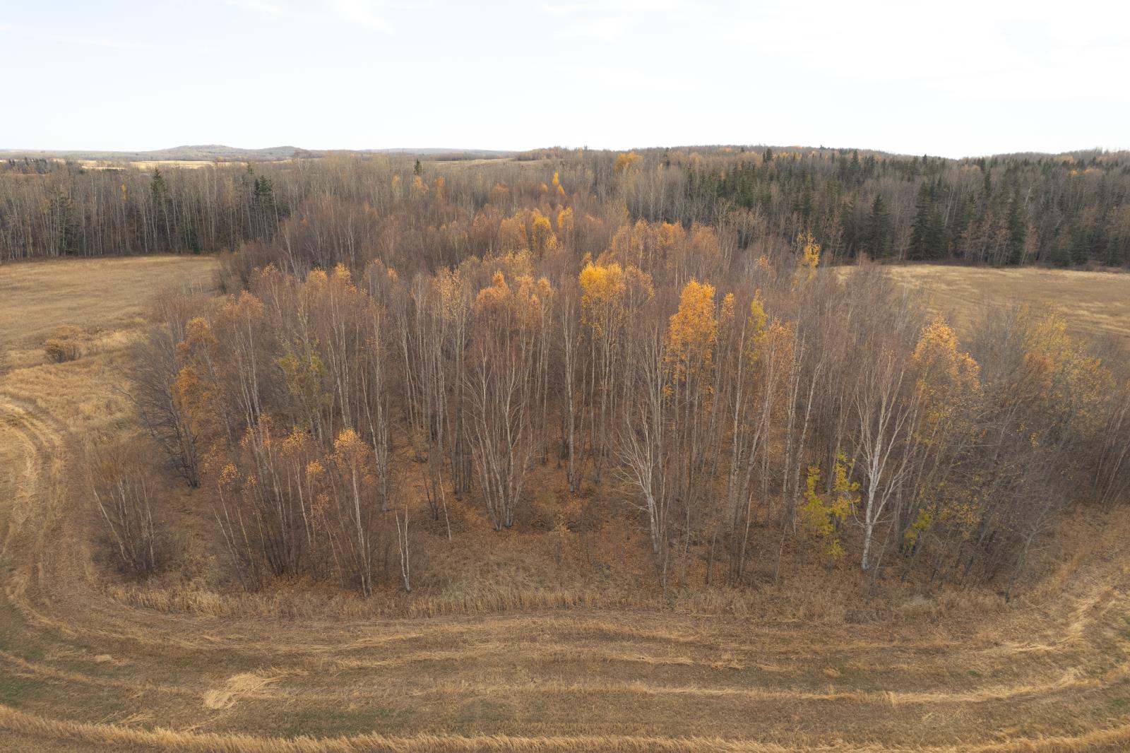 Rural Lac Ste. Anne County, AB, T8R 0H2 - Photo 49