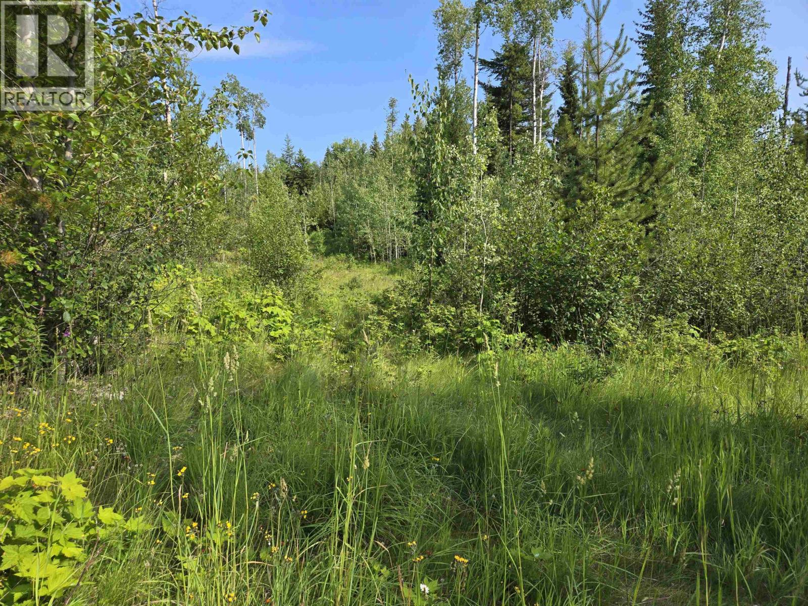 Backyard of LOT 14 CATHERINE DRIVE · Prince George, BC