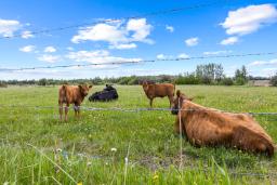 26517 Twp Road 584, Picardville, Ab T0g 1w0, Pickardville, AB T0G1W0 Photo 112