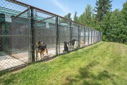 53309a Range Rd 65, Gainford, AB T0E0W0 Photo 6