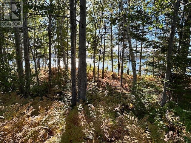 935 Big Harbour Road - 17