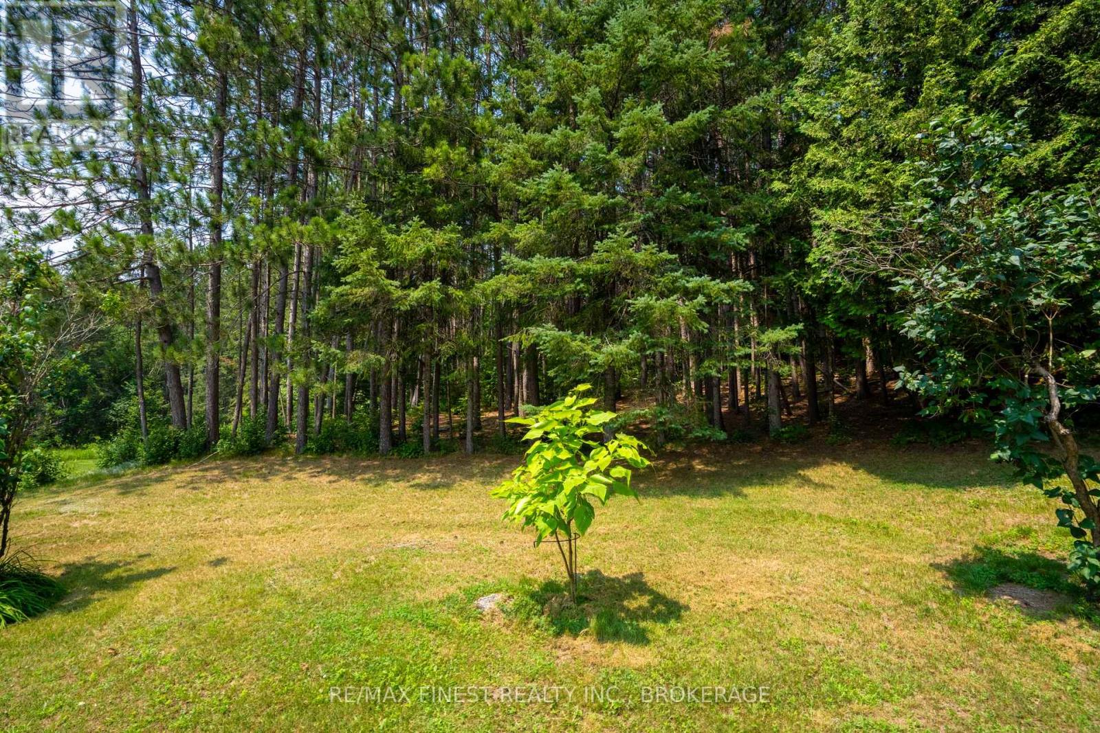 1031 JAMES ROAD - 7