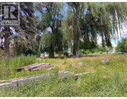 Proposed 210 Co-op Avenue, Oliver