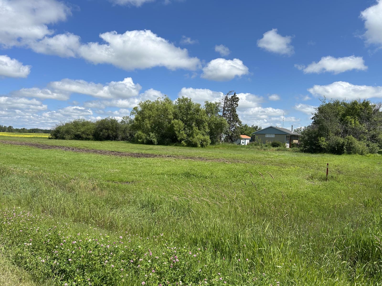 MLS® 45232367