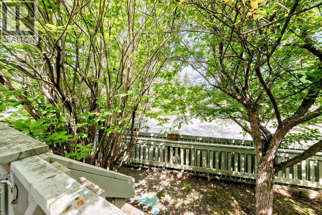 #3 185 Woodridge Drive SW - 12