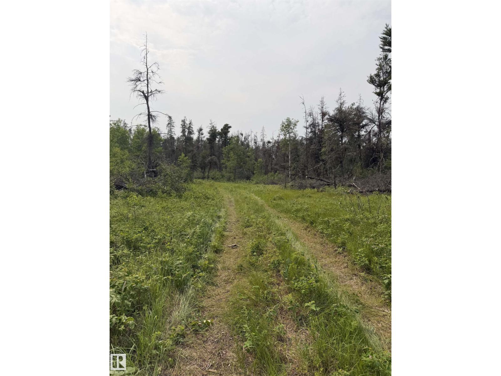 59043 RANGE ROAD 161 - Image 9