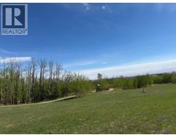 12 Vanson Close, Sylvan Lake, AB T4S0M3 Photo 31