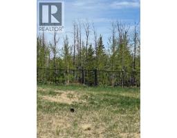 12 Vanson Close, Sylvan Lake, AB T4S0M3 Photo 29
